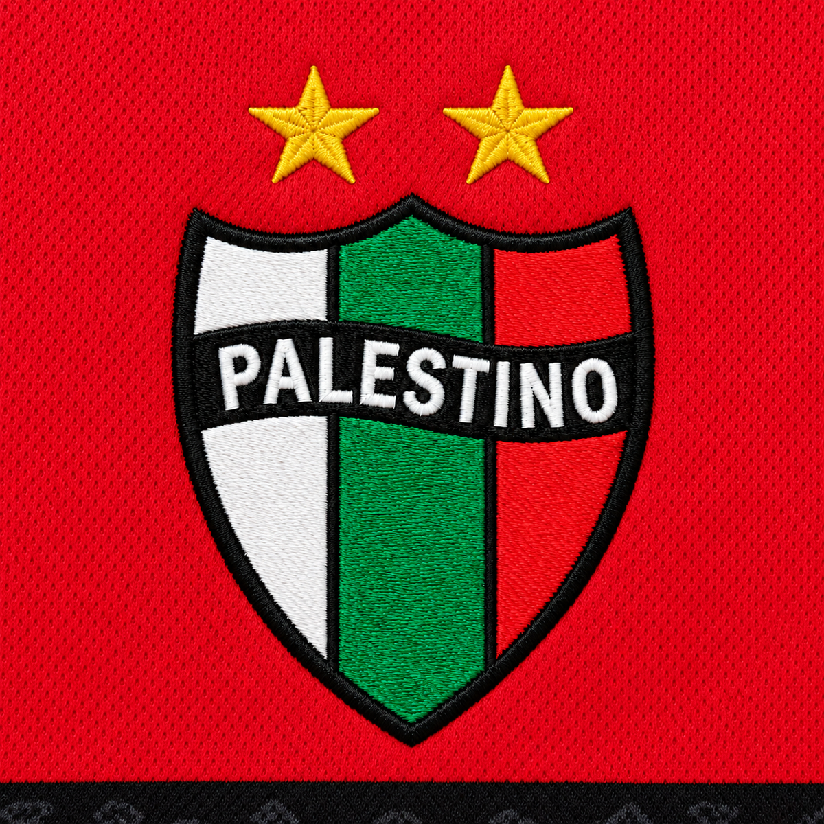 Palestino Jersey Red - view 3